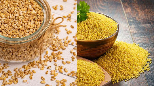 barnyard millet vs barley
