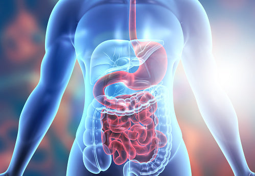 Why Nutty Gulkand Is the Perfect Post-Meal Digestive?