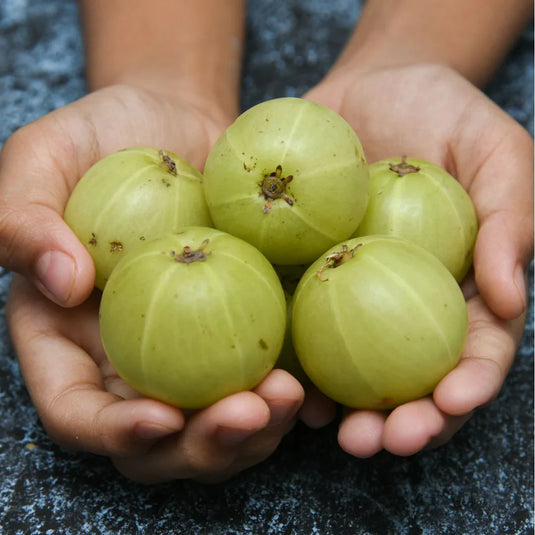 How Amla Helps Boost Iron Absorption & Fights Fatigue Naturally