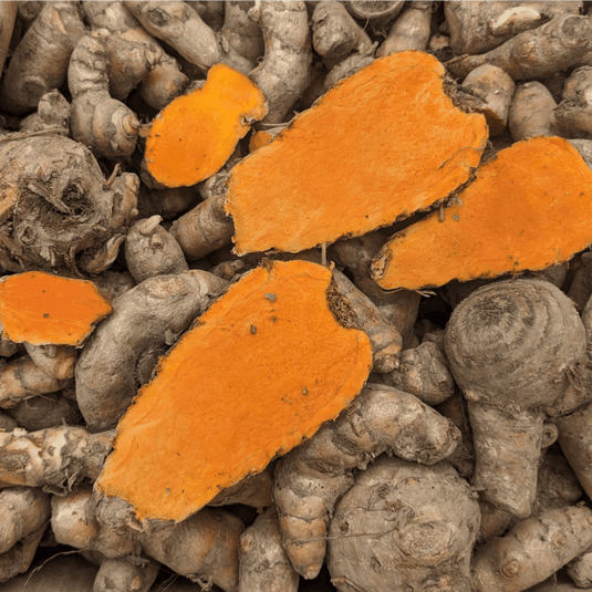 Why Lakadong Turmeric is Called the World’s Strongest Turmeric?
