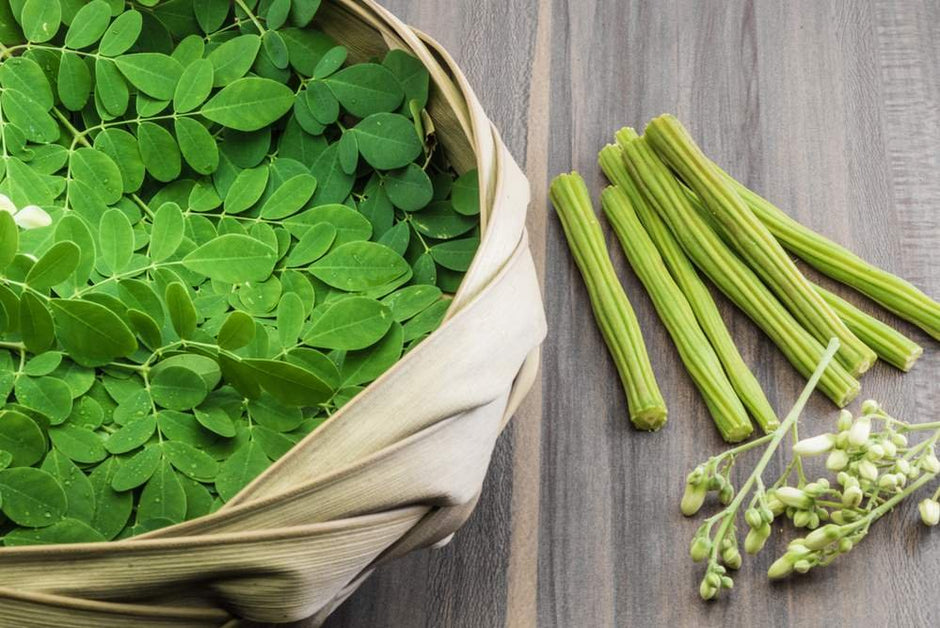 10 Benefit of Moringa Leaf Powder for Energy & Immunity | Daily Farmer