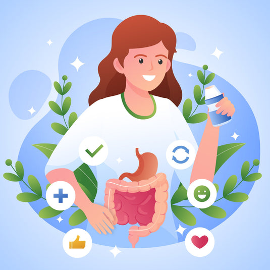 How Dates Powder Supports Digestive Health & Immunity