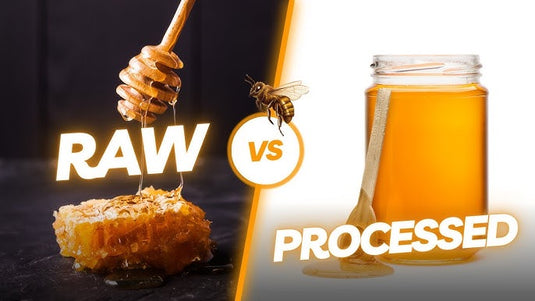 Raw Honey vs Processed Honey: Which One Is Worth Your Money?