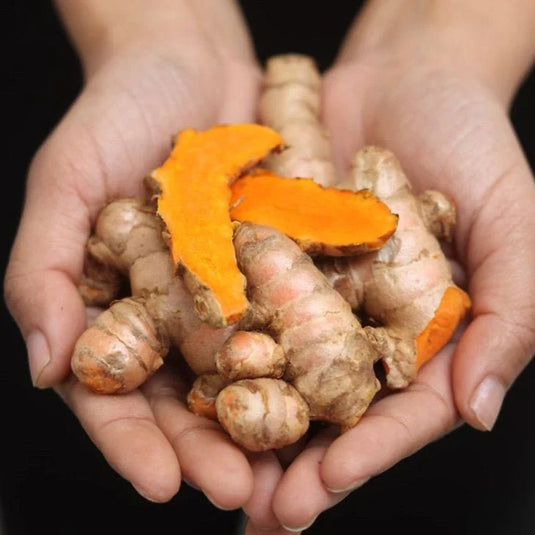 How to Identify Pure Lakadong Turmeric: A Buyer’s Guide