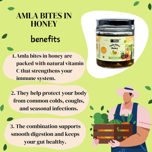 Amla Bites in Honey – Ayurvedic Superfood with Vitamin C & Antioxidants